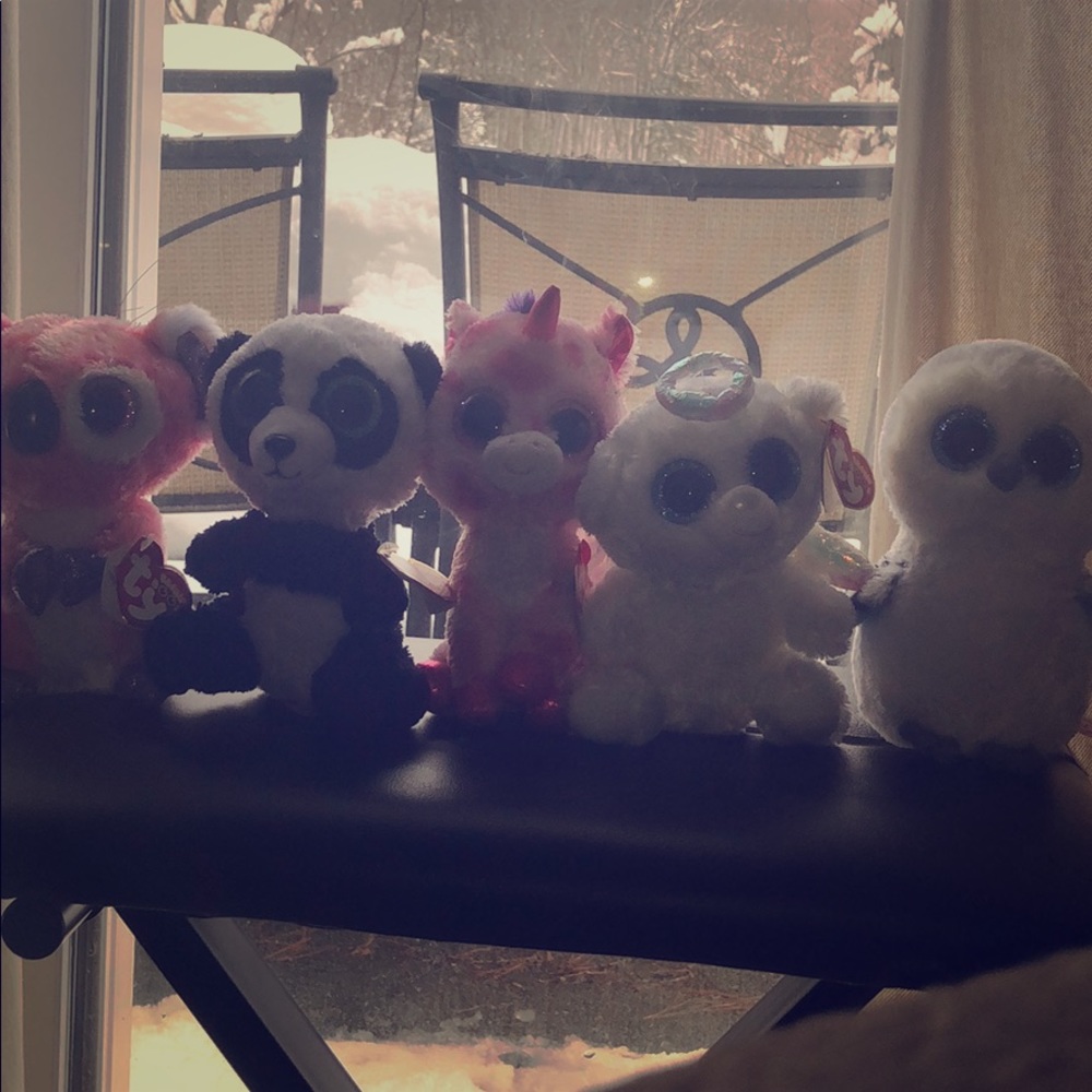 5 piece adorable beanie boo set!